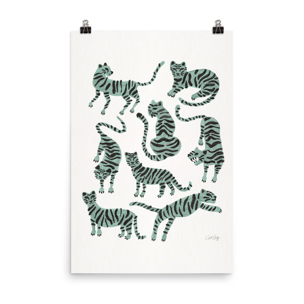 Tiger Collection - Mint
