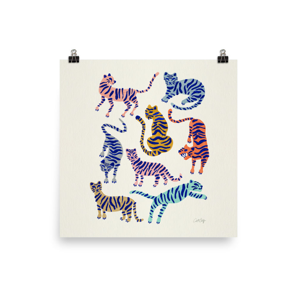 Tiger Collection - Indigo