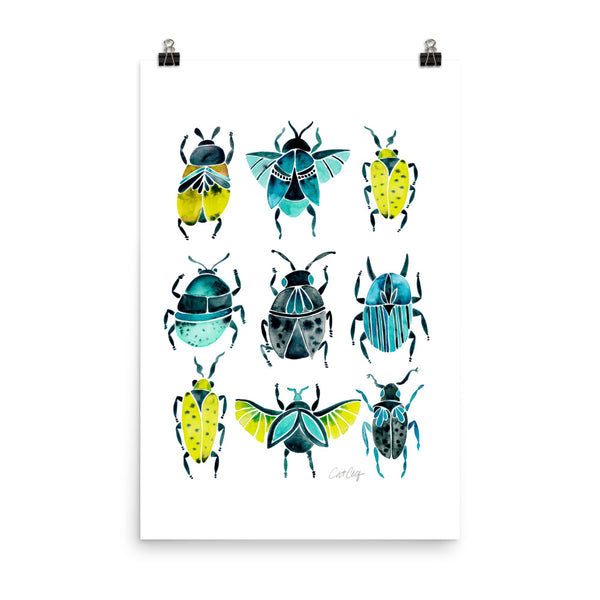 Beetle Collection - Lime Turquoise
