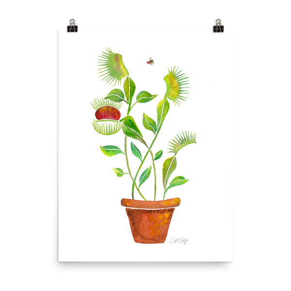 Venus Fly Trap • Art Print
