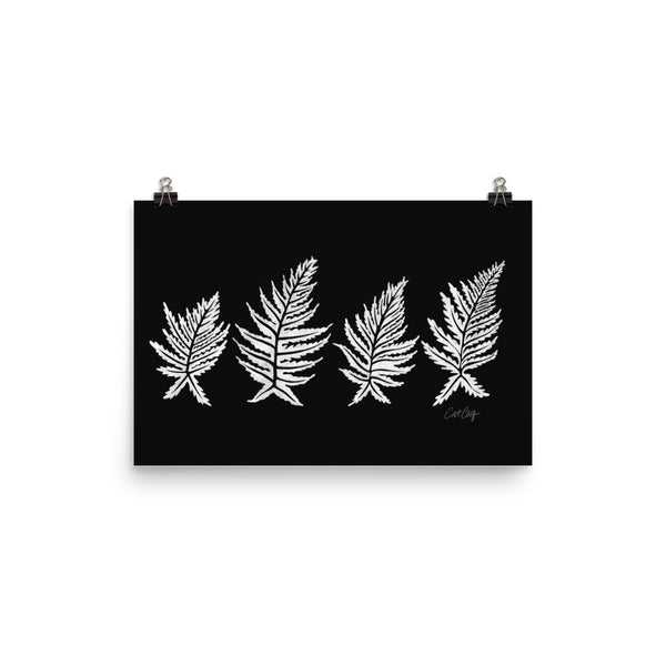 Inked Ferns – White Ink on Black • Art Print
