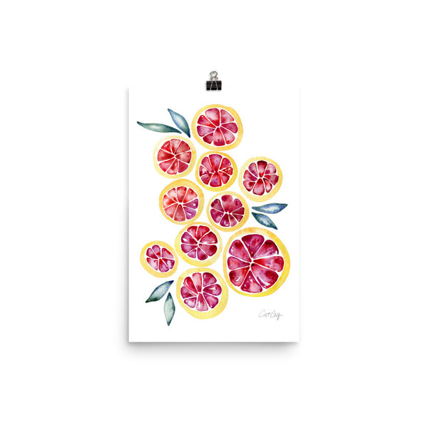 Grapefruit Slices • Art Print