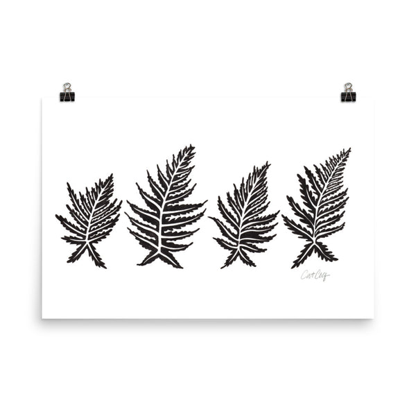 Inked Ferns – Black Ink • Art Print