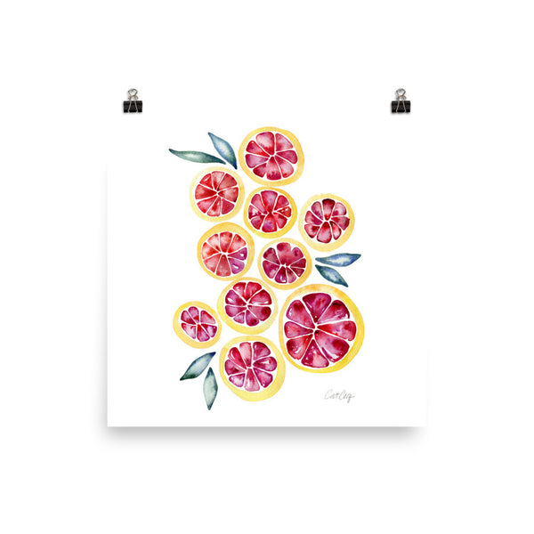 Grapefruit Slices • Art Print