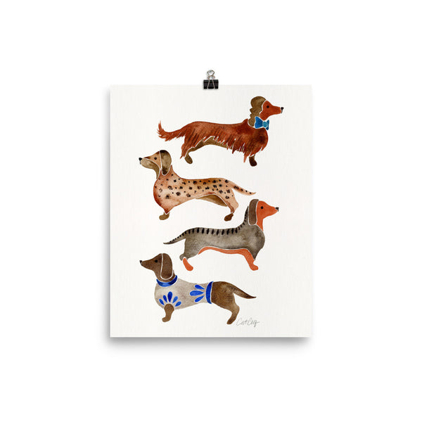 Dachshunds – White Background • Art Print