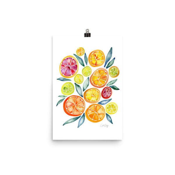 Citrus Slices • Art Print