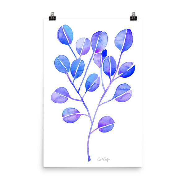 Eucalyptus - Periwinkle