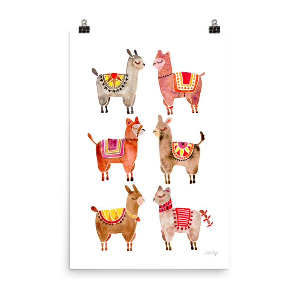 Alpacas  •  Art Print