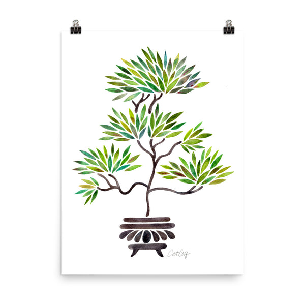 Bonsai - Green