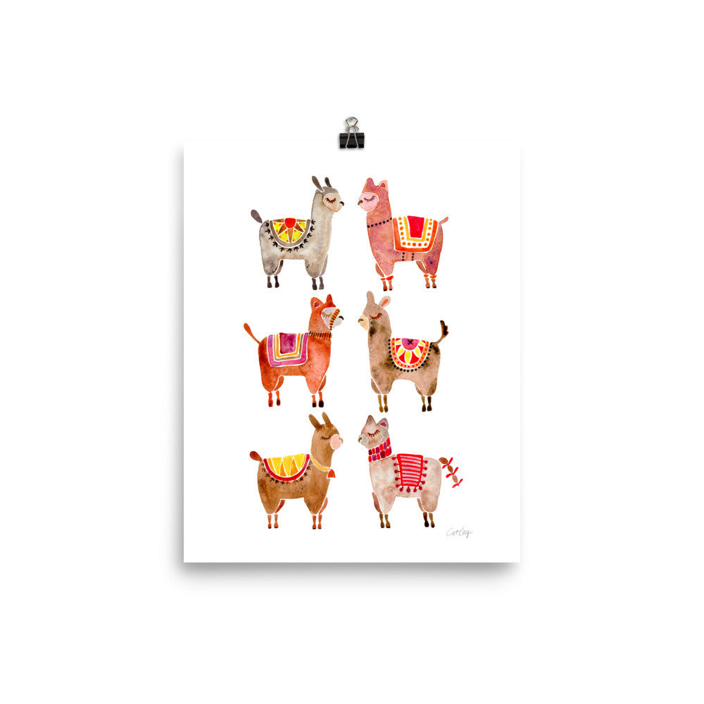 Alpacas  •  Art Print