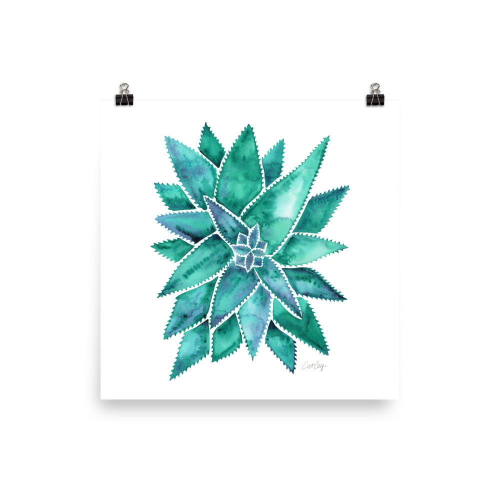 Aloe Vera - Turquoise