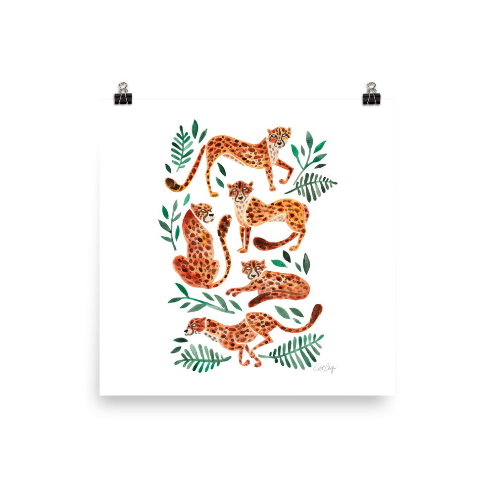 Cheetah Collection - Orange