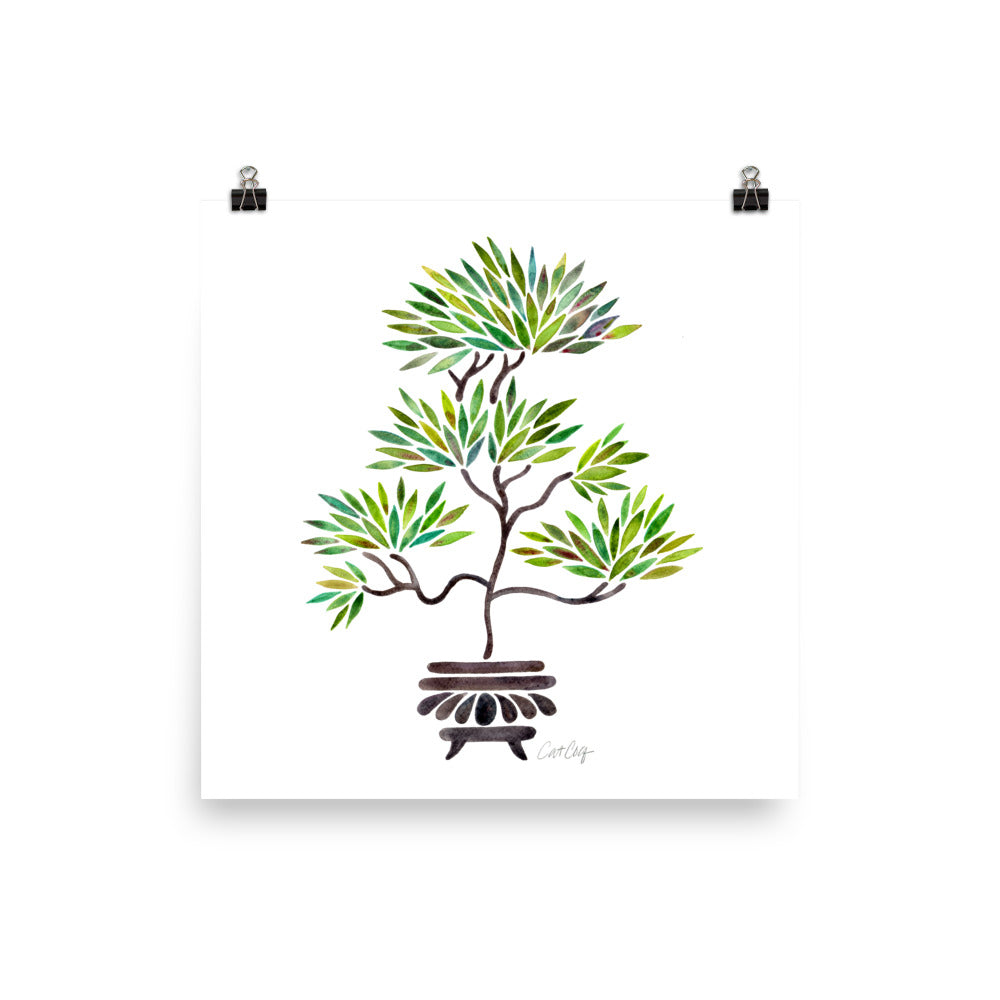 Bonsai - Green