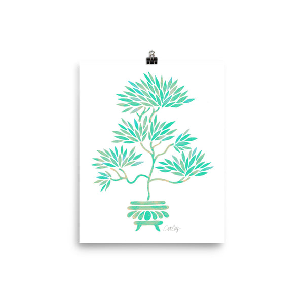 Bonsai  -Turquoise