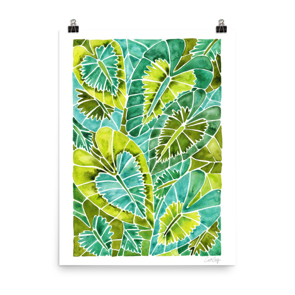 Schismatoglottis Calyptrata – Green Palette • Art Print
