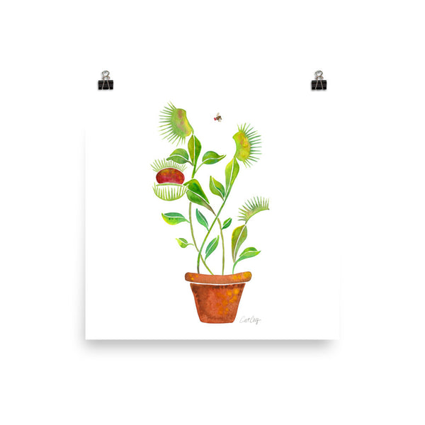 Venus Fly Trap • Art Print