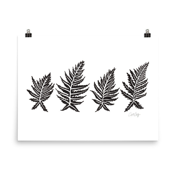 Inked Ferns – Black Ink • Art Print