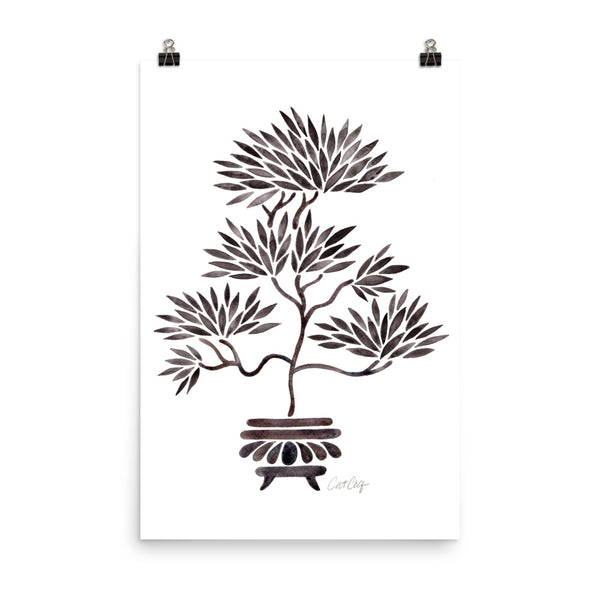 Bonsai- Black
