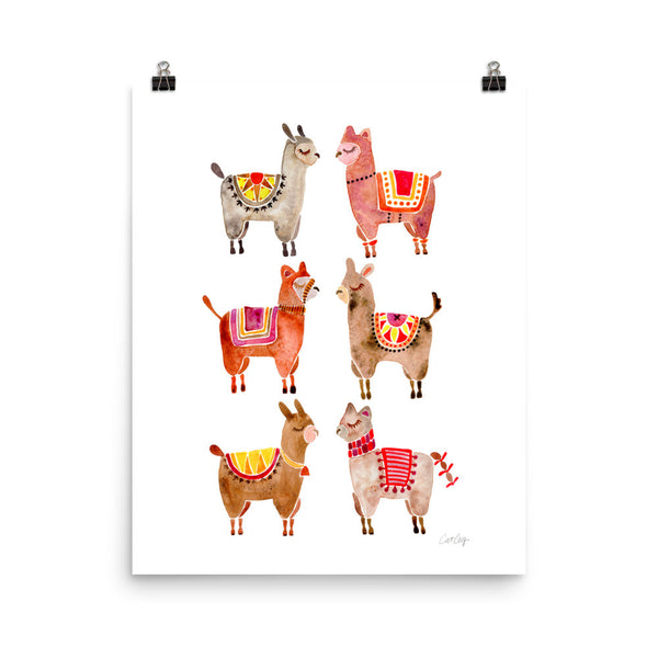 Alpacas  •  Art Print