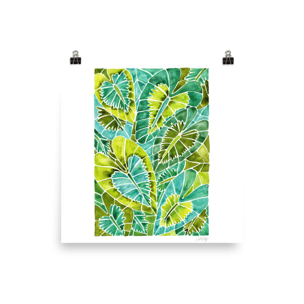 Schismatoglottis Calyptrata – Green Palette • Art Print