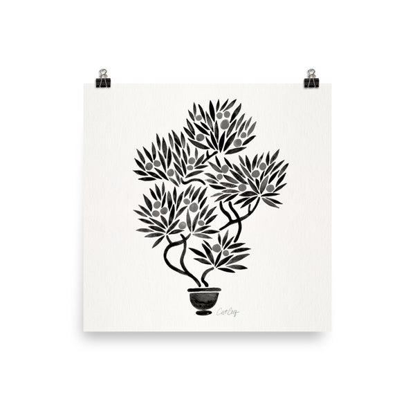Bonsai Fruit Tree – Black Palette • Art Print
