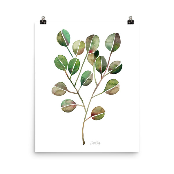 Eucalyptus - Green