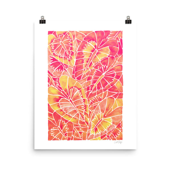 Schismatoglottis Calyptrata – Pink Palette • Art Print