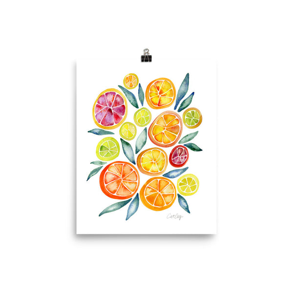 Citrus Slices • Art Print