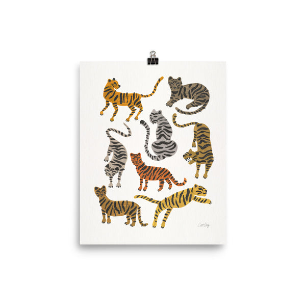 Tiger Collections - Neutrals