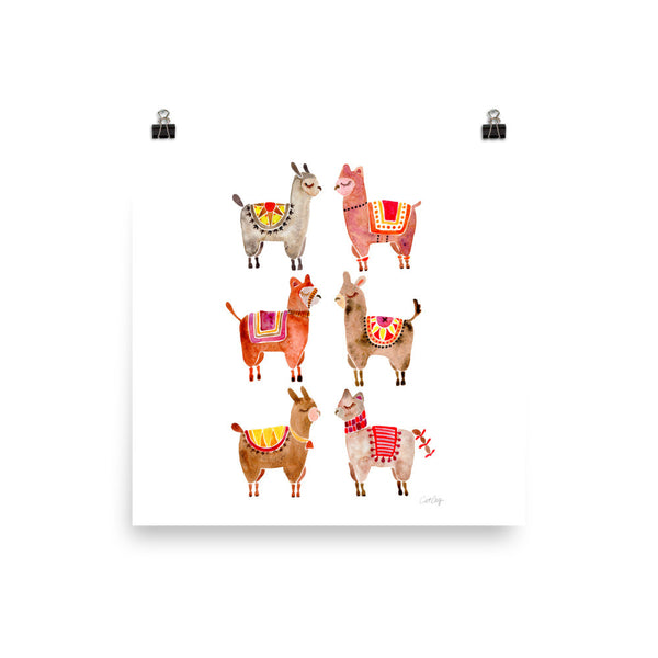 Alpacas  •  Art Print