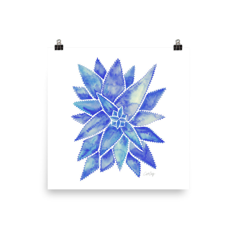 Aloe Vera - Blue