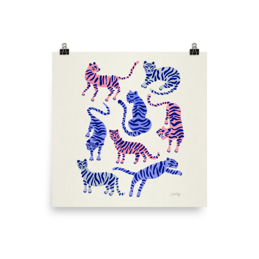 Tiger Collection - Periwinkle Blush