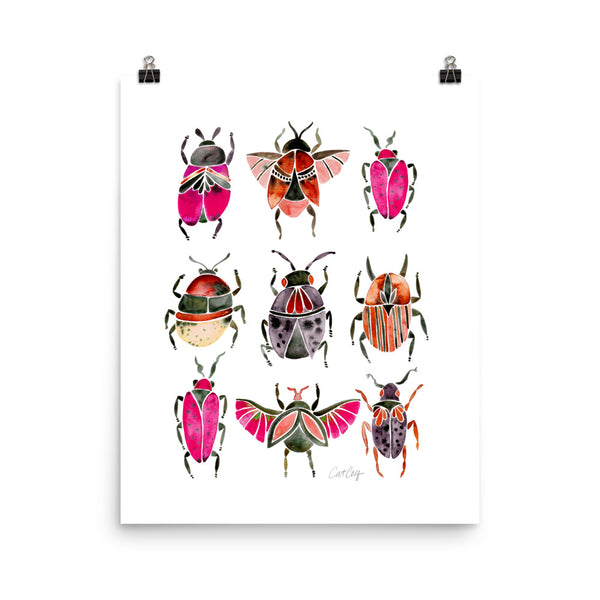 Beetle Collection - Pink Black