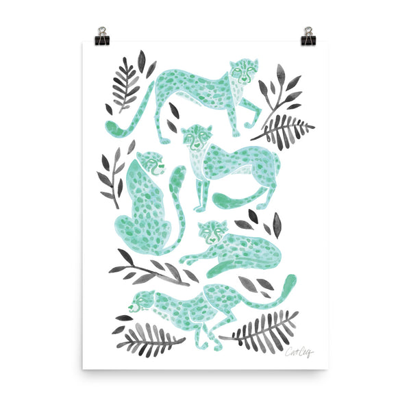 Cheetah Collection - Mint Black