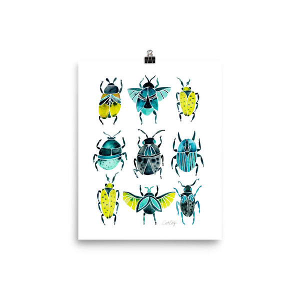 Beetle Collection - Lime Turquoise