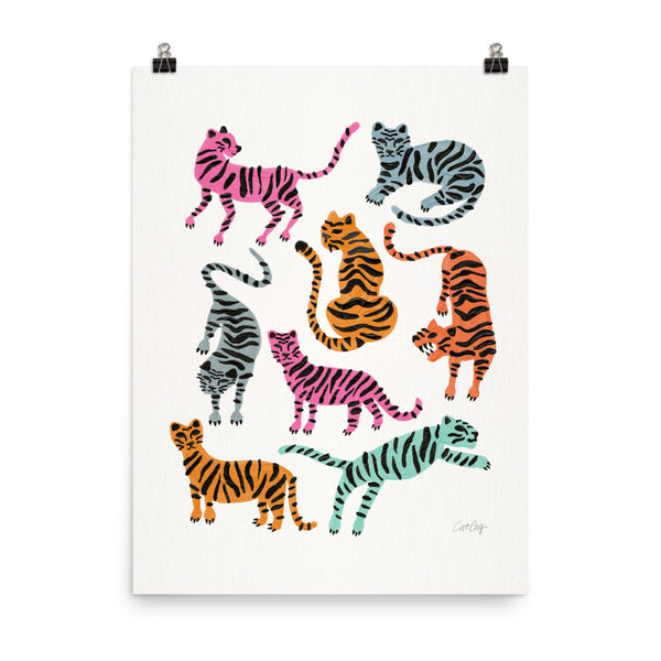 Tiger Collection - Pink & Blue