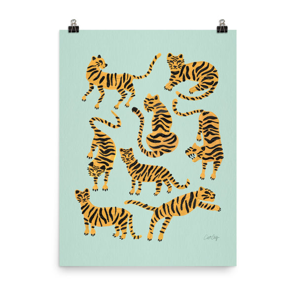 Tiger Collection - Mint & Orange
