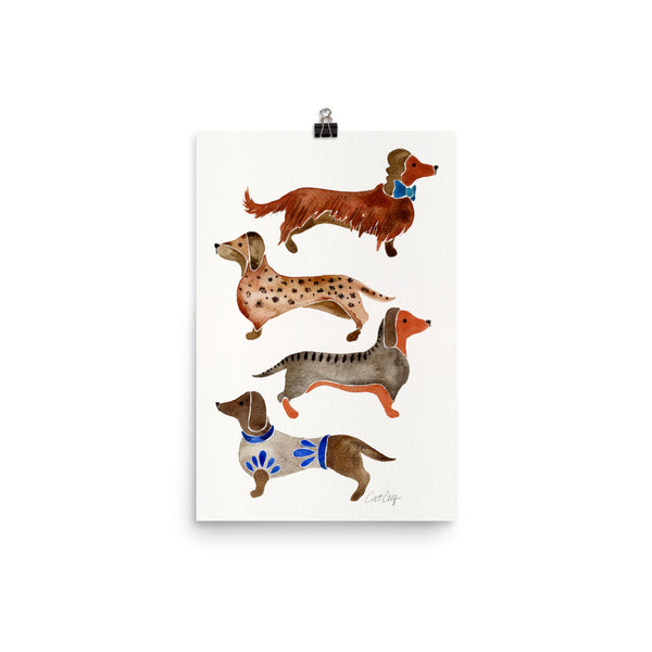 Dachshunds – White Background • Art Print