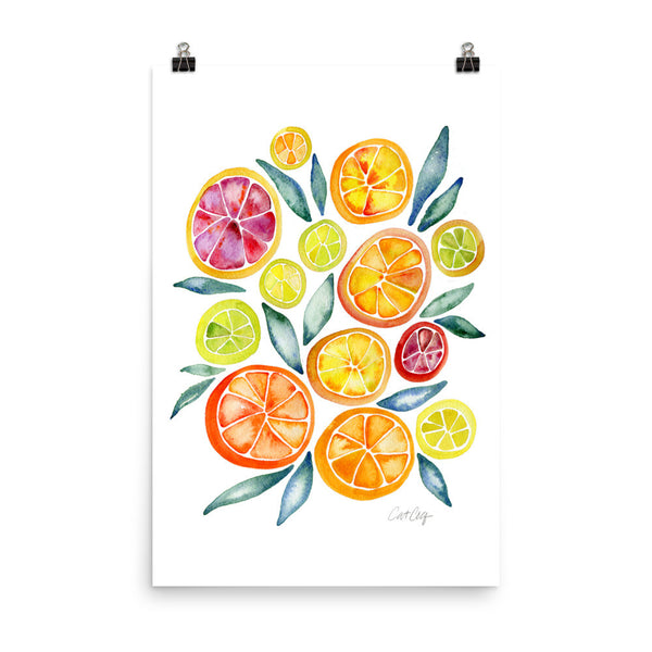 Citrus Slices • Art Print