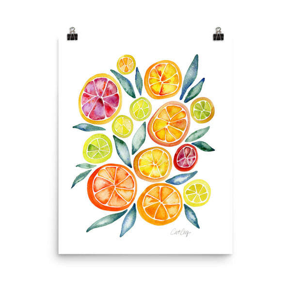 Citrus Slices • Art Print