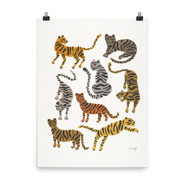 Tiger Collections - Neutrals