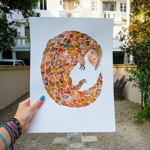 Pangolin • Art Print