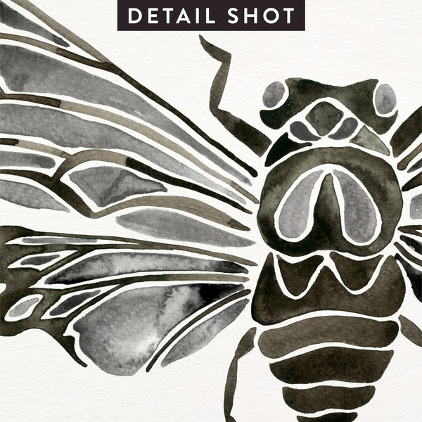 Summer Cicada – Black Palette • Art Print