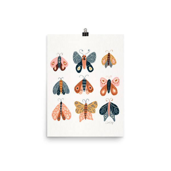 Moth Specimens - Yellow