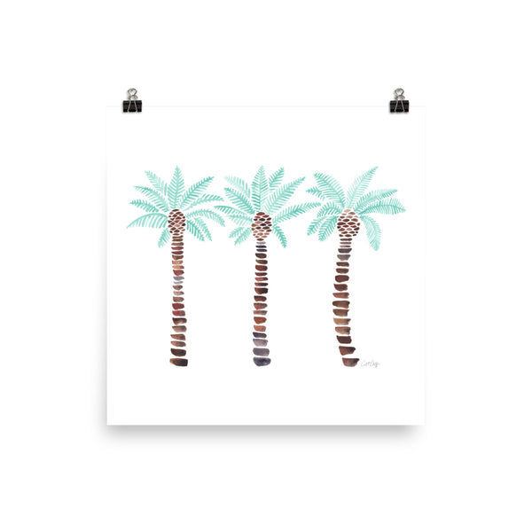 Mediterranean Palm Tree - Mint