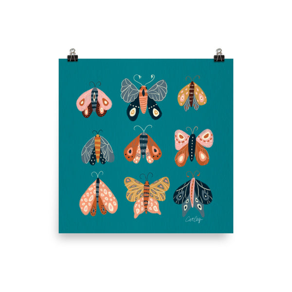 Moth Specimens - Teal