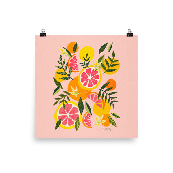 Grapefruit Blooms – Blush