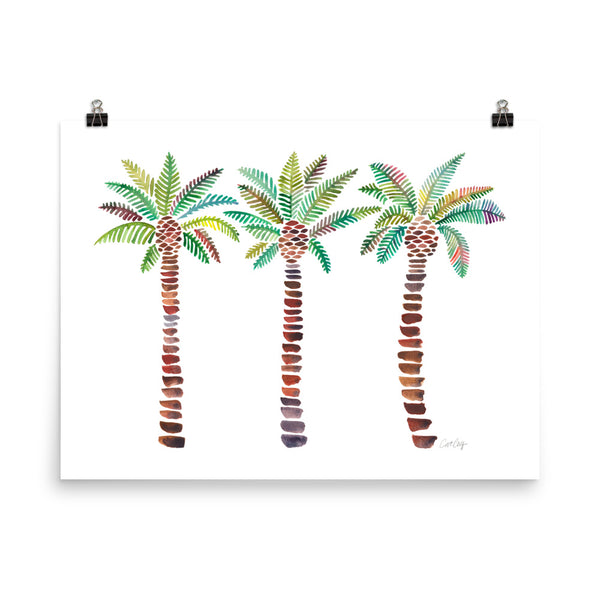 Mediterranean Palm Tree - Green