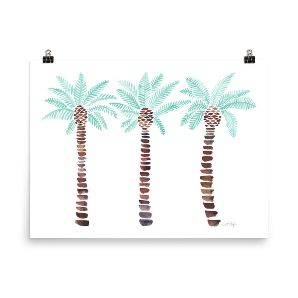 Mediterranean Palm Tree - Mint