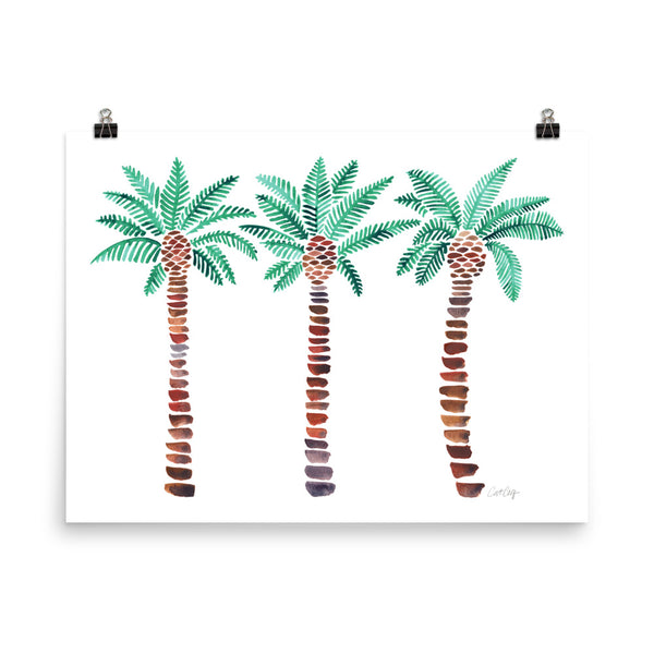 Mediterranean Palm Tree - Turquoise